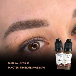 Taupe #6 + Sepia #9