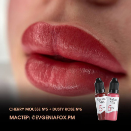 Cherry Mouse #5 + Dusty Rose #6